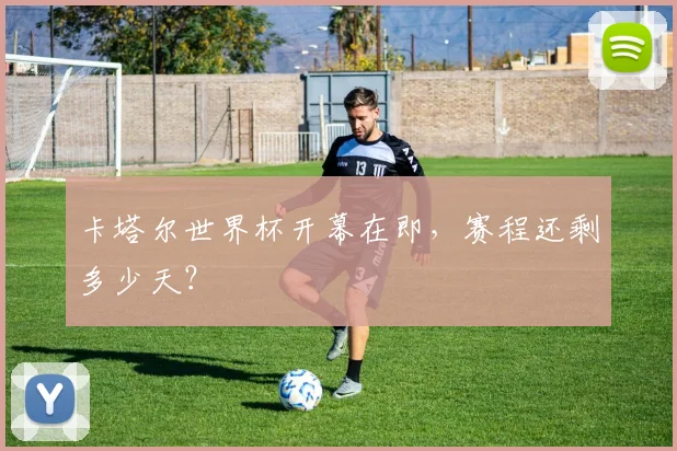 卡塔尔世界杯开幕在即，赛程还剩多少天？