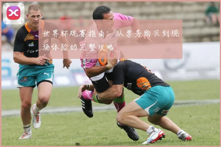 世界杯观赛指南:从票务购买到现场体验的完整攻略