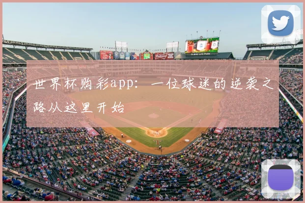 世界杯购彩app：一位球迷的逆袭之路从这里开始