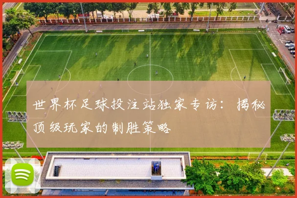 世界杯足球投注站独家专访:揭秘顶级玩家的制胜策略