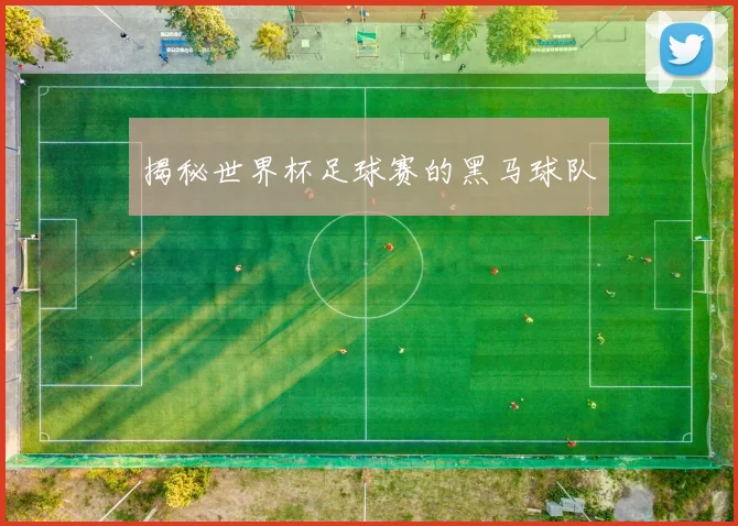 揭秘世界杯足球赛的黑马球队