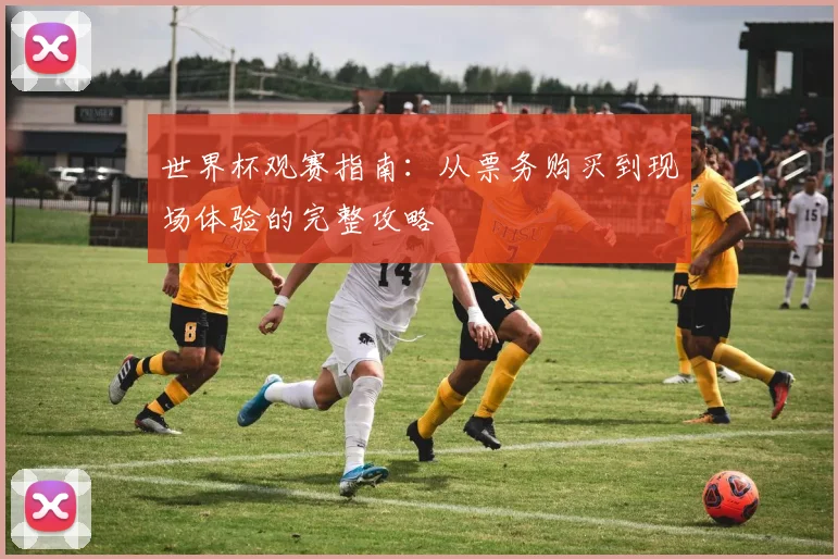 世界杯观赛指南:从票务购买到现场体验的完整攻略