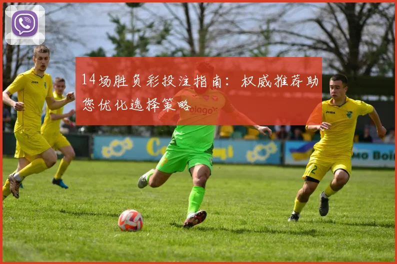 14场胜负彩投注指南：权威推荐助您优化选择策略