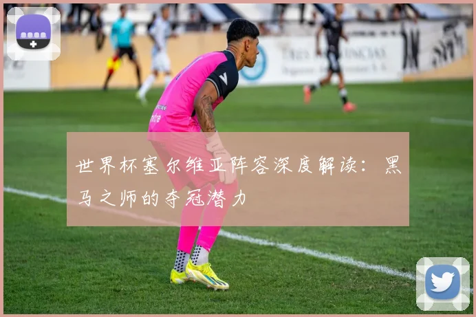 世界杯塞尔维亚阵容深度解读：黑马之师的夺冠潜力