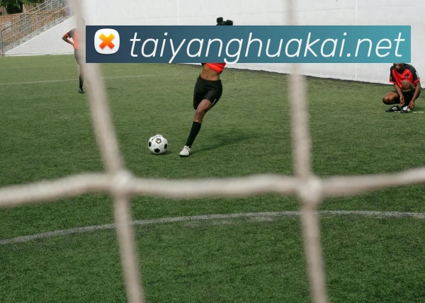 球盟体育官方网站服务体系